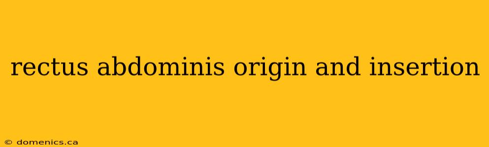 rectus abdominis origin and insertion