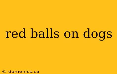 red balls on dogs