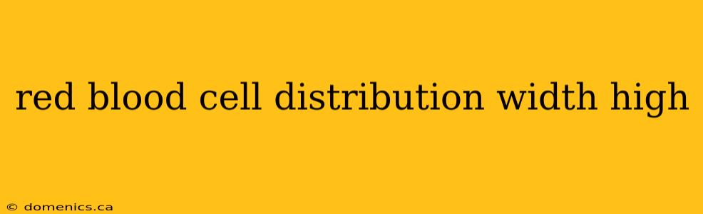 red blood cell distribution width high