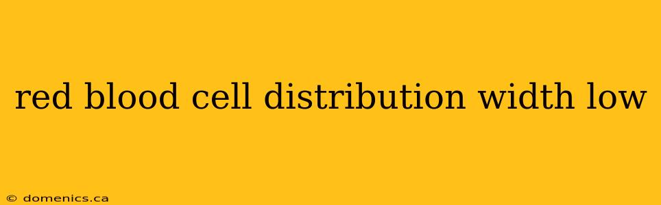 red blood cell distribution width low