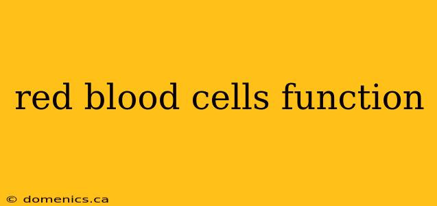 red blood cells function