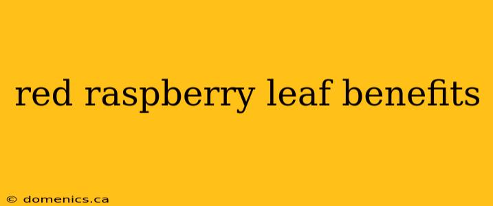 red raspberry leaf benefits