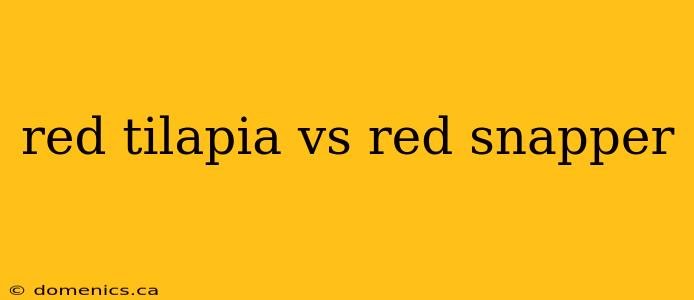 red tilapia vs red snapper