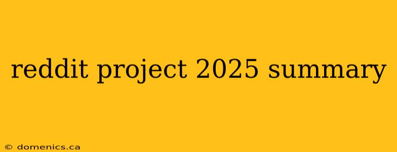 reddit project 2025 summary