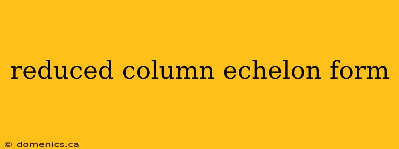 reduced column echelon form