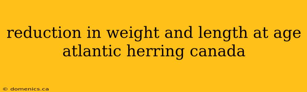 reduction in weight and length at age atlantic herring canada