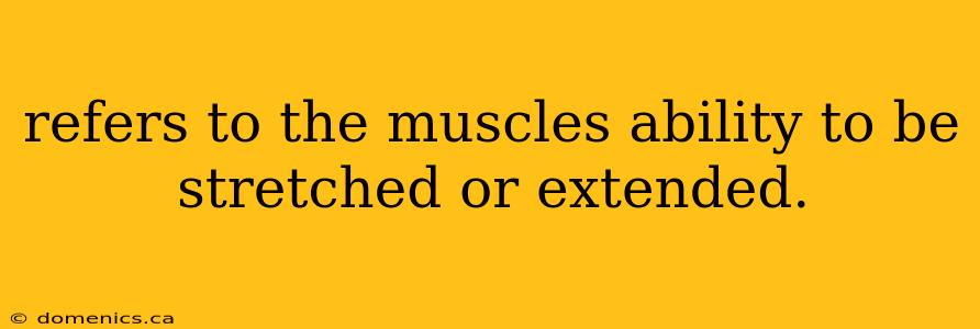 refers to the muscles ability to be stretched or extended.