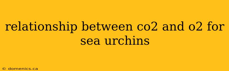 relationship between co2 and o2 for sea urchins