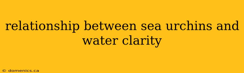 relationship between sea urchins and water clarity