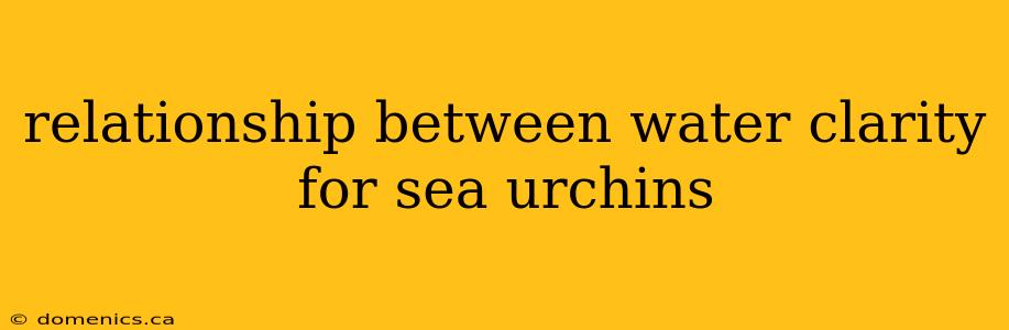 relationship between water clarity for sea urchins