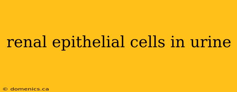 renal epithelial cells in urine