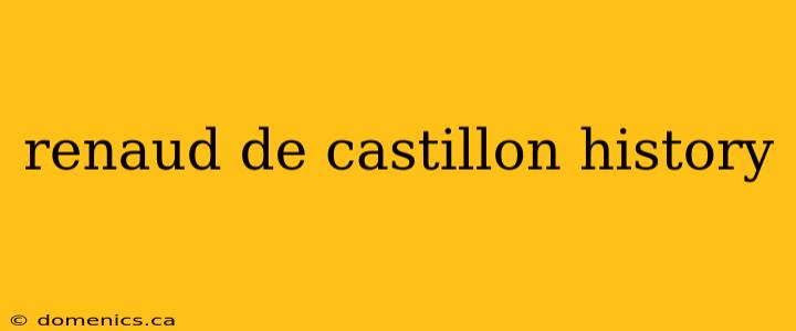 renaud de castillon history