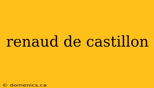 renaud de castillon