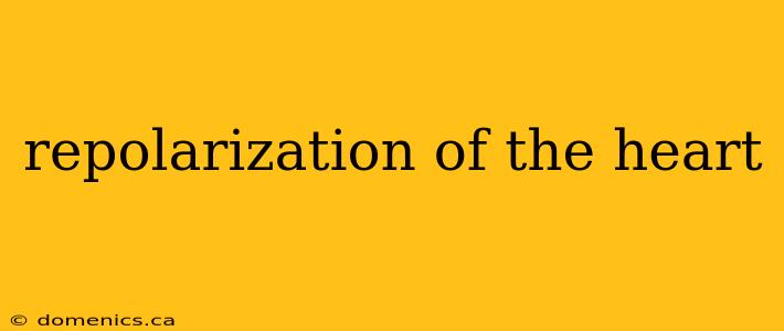 repolarization of the heart