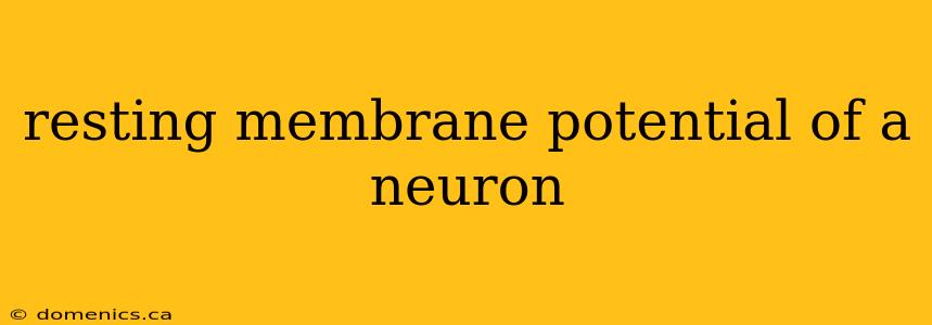 resting membrane potential of a neuron