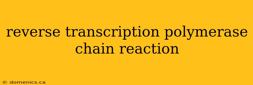 reverse transcription polymerase chain reaction