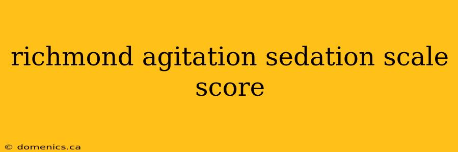 richmond agitation sedation scale score