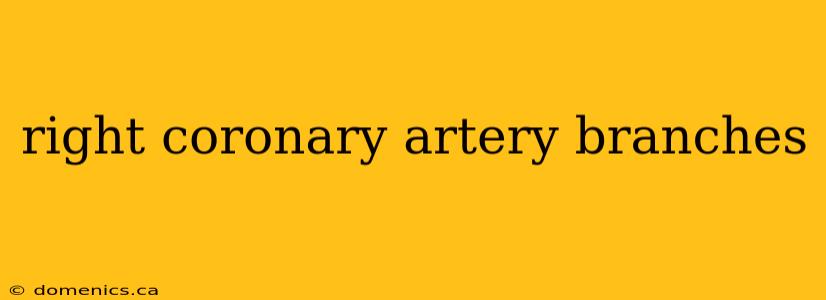 right coronary artery branches