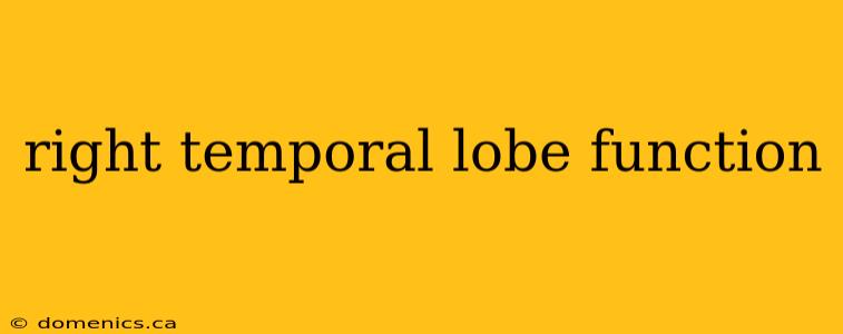 right temporal lobe function