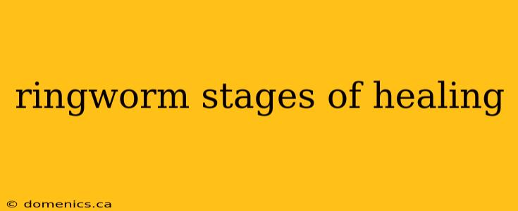 ringworm stages of healing