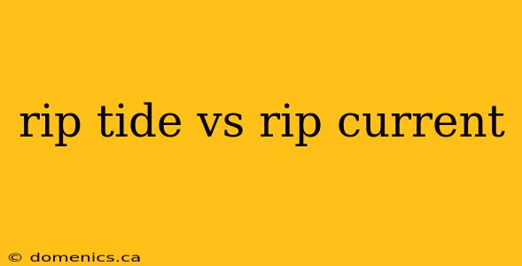 rip tide vs rip current