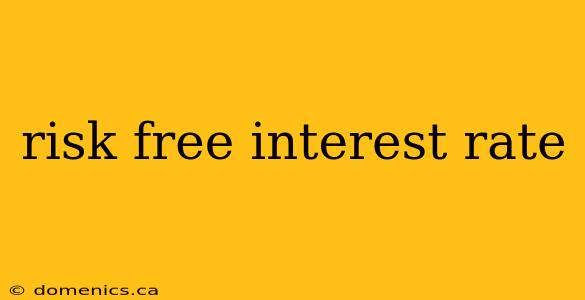 risk free interest rate