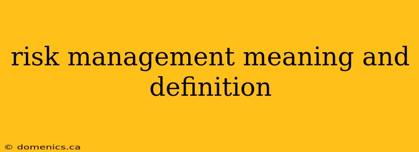 risk management meaning and definition