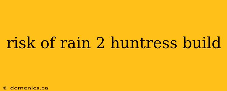 risk of rain 2 huntress build