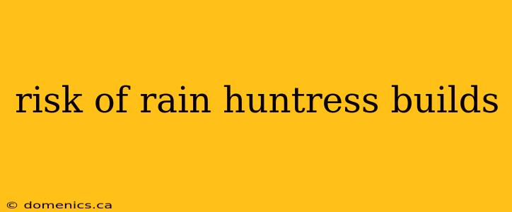 risk of rain huntress builds