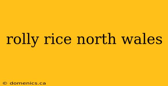 rolly rice north wales