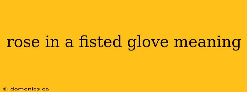 rose in a fisted glove meaning