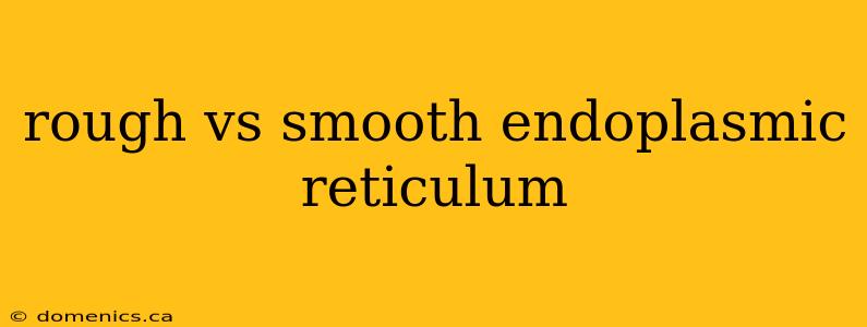 rough vs smooth endoplasmic reticulum