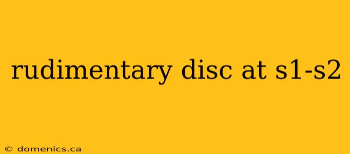 rudimentary disc at s1-s2