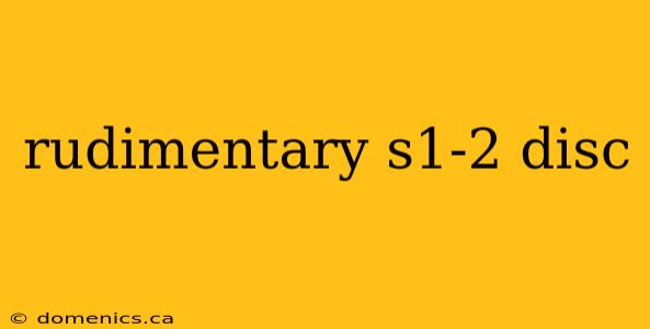 rudimentary s1-2 disc