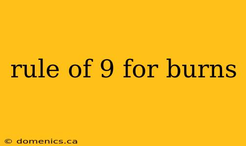 rule of 9 for burns