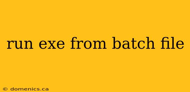 run exe from batch file