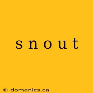 s n o u t