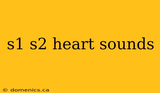 s1 s2 heart sounds