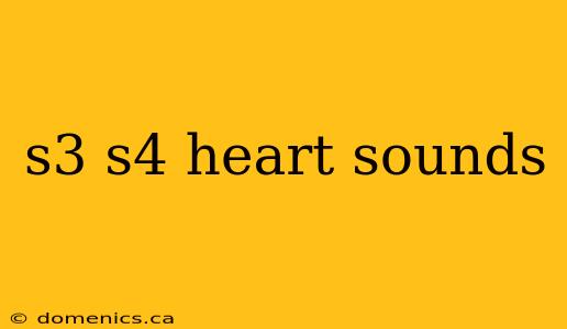 s3 s4 heart sounds