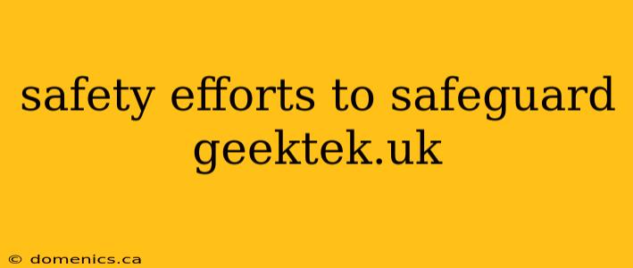 safety efforts to safeguard geektek.uk