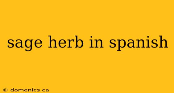 sage herb in spanish