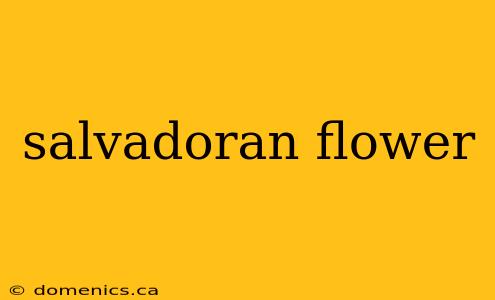 salvadoran flower