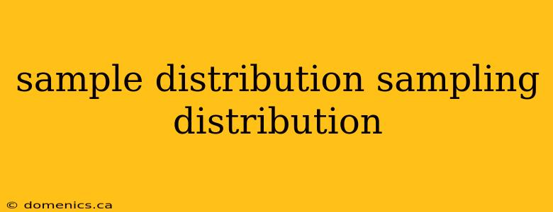 sample distribution sampling distribution