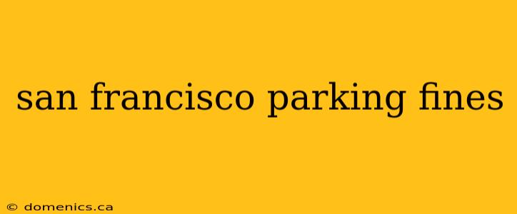 san francisco parking fines