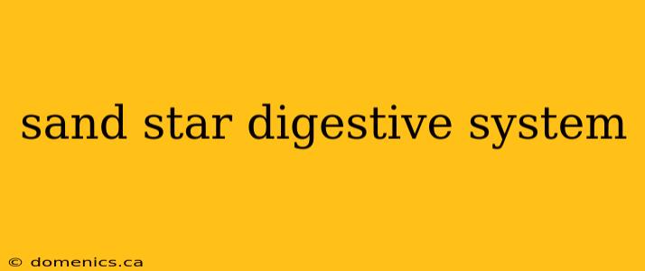 sand star digestive system