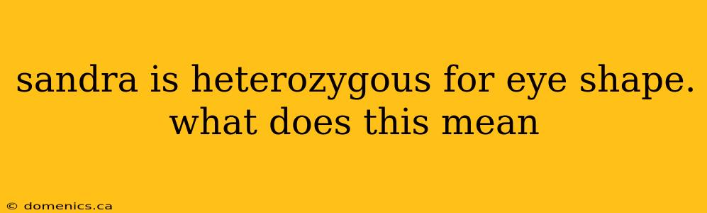 sandra is heterozygous for eye shape. what does this mean