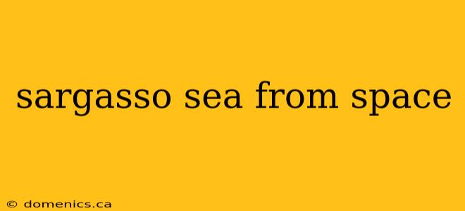 sargasso sea from space