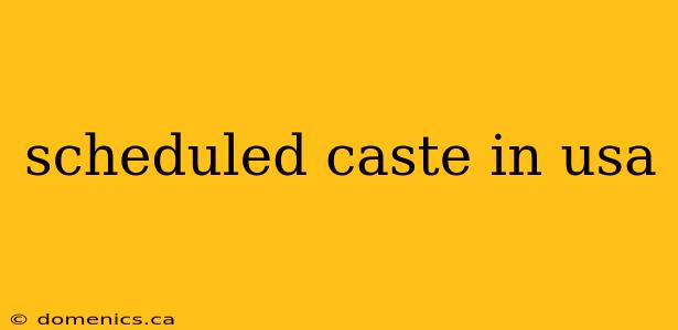 scheduled caste in usa