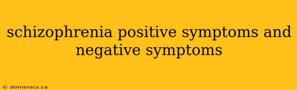 schizophrenia positive symptoms and negative symptoms