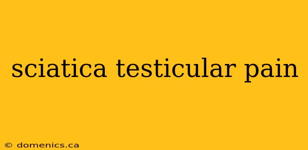 sciatica testicular pain